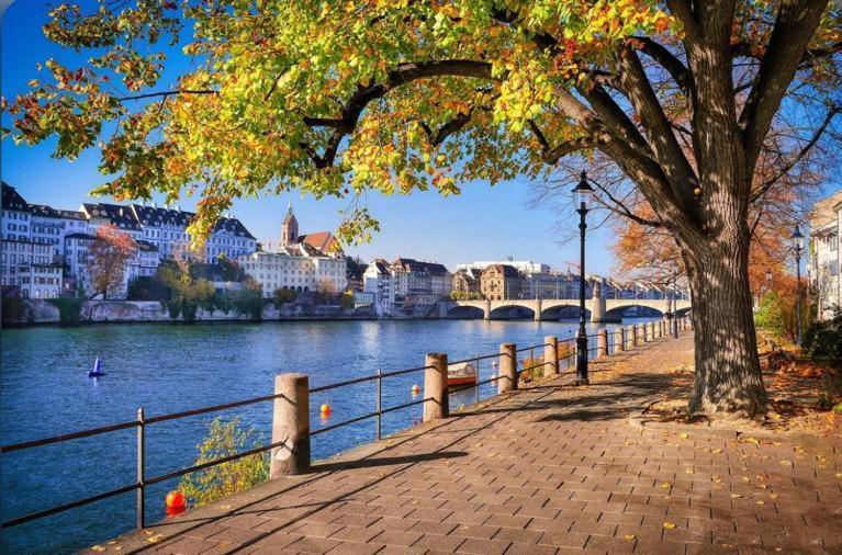 Schweiz Apartment Basel Ngoại thất bức ảnh