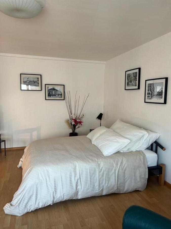 Schweiz Apartment Basel Ngoại thất bức ảnh