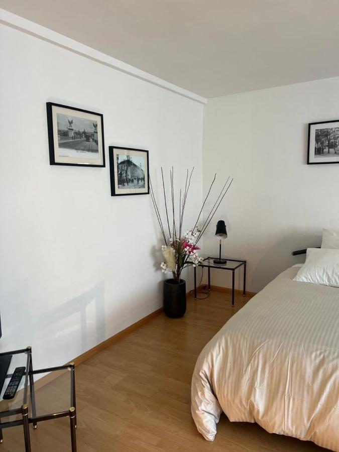 Schweiz Apartment Basel Ngoại thất bức ảnh